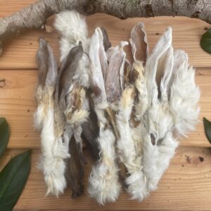 Kauwsnack voor honden. Konijnenoor met haar gedroogd